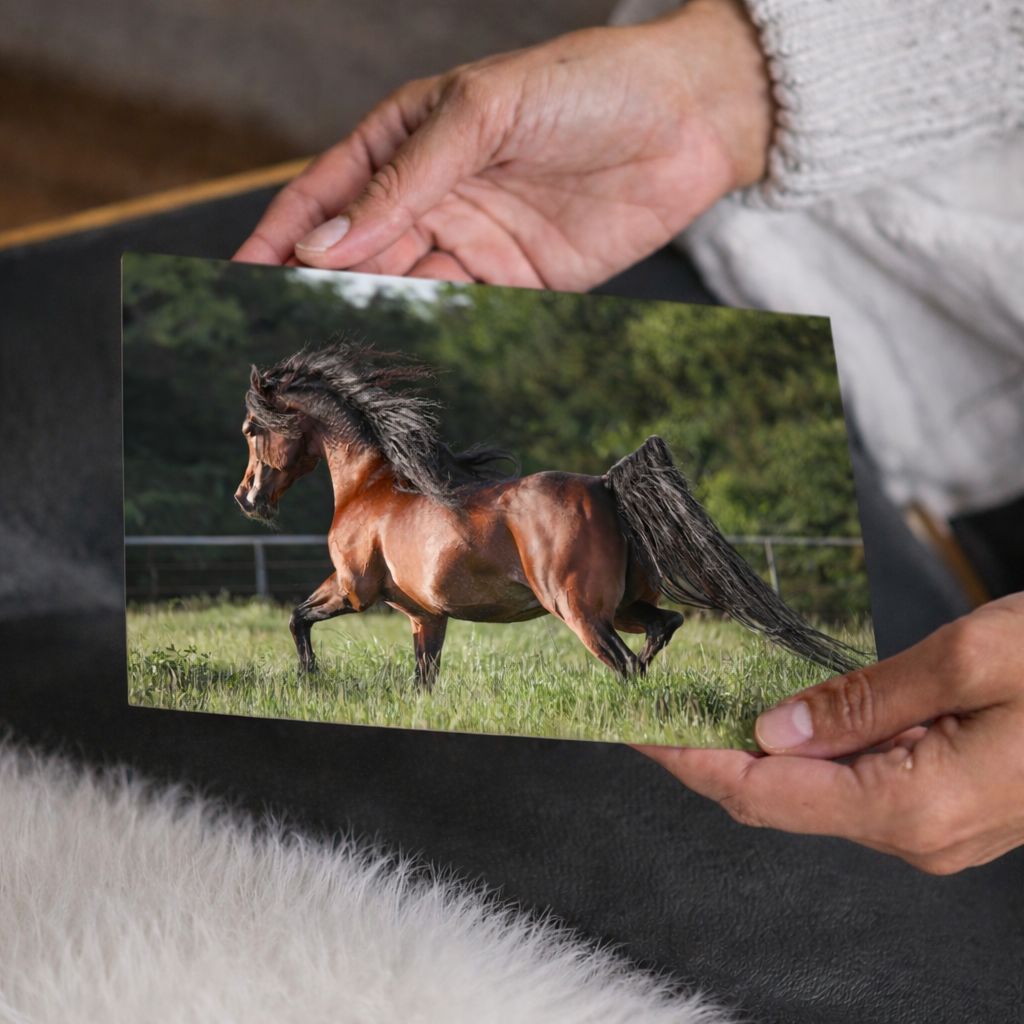 Prancing Horse Wall Art, Equestrian Home Decor