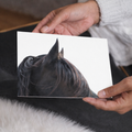 Dark Horse Close Up, Equestrian Wall Art and Home Decor