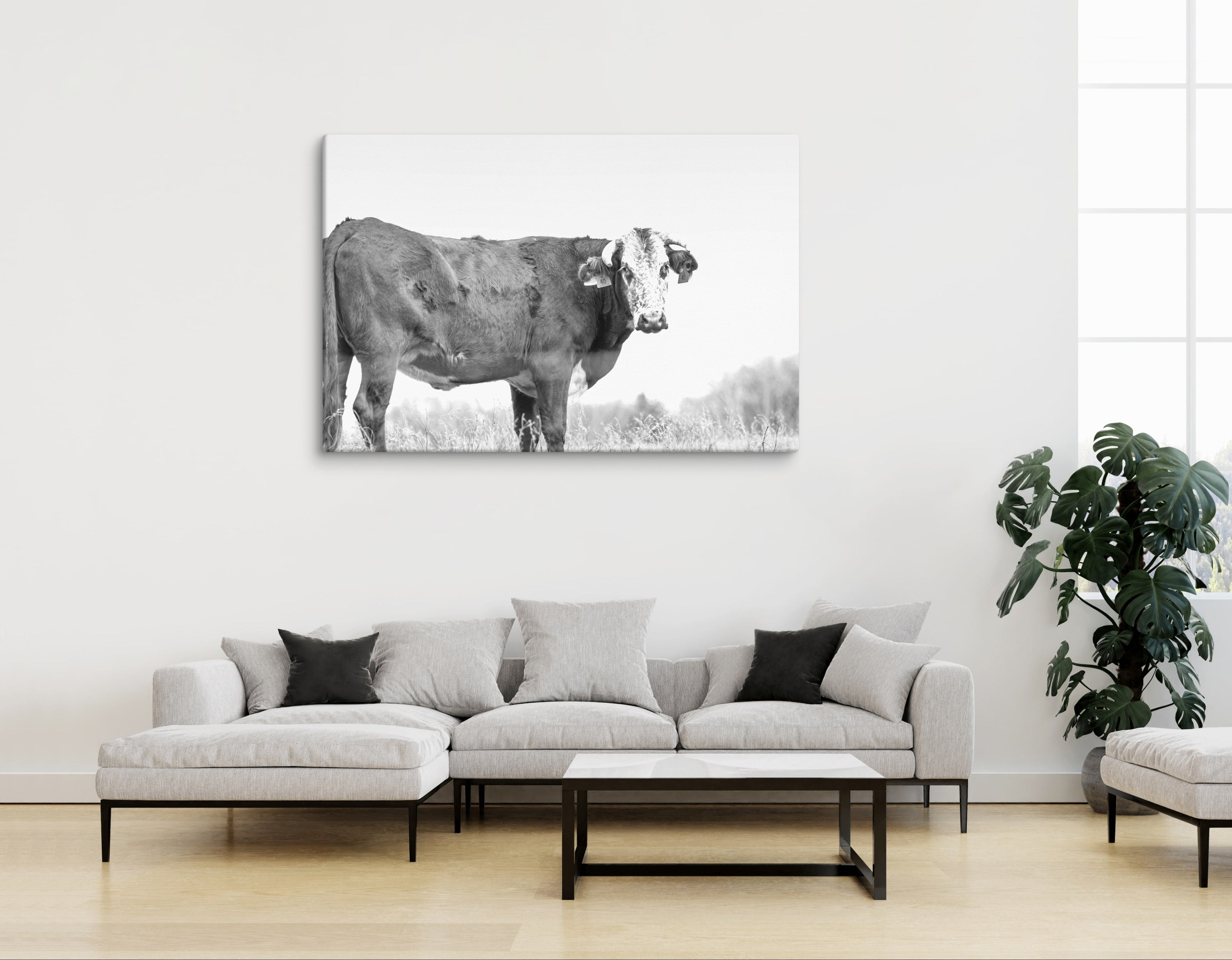 Cow Canvas in Black and White, Western Home Decor, Rustic Wall Art