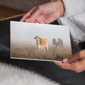 Cows in the Fog | Western Farmhouse Wall Art