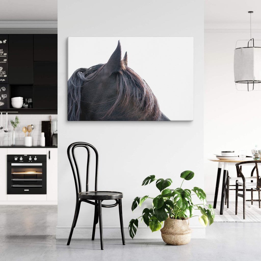 Dark Horse Close Up, Equestrian Wall Art and Home Decor
