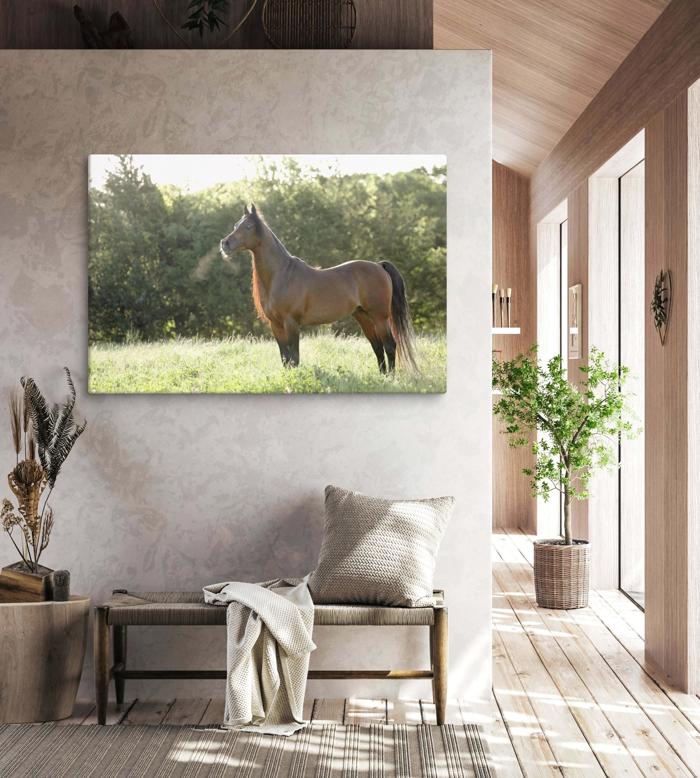 Horse in the Meadow Canvas Wall Art